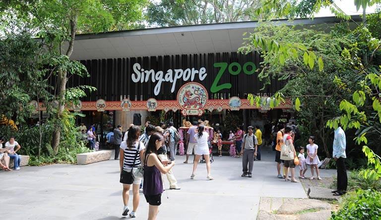 singapore-zoo.jpg